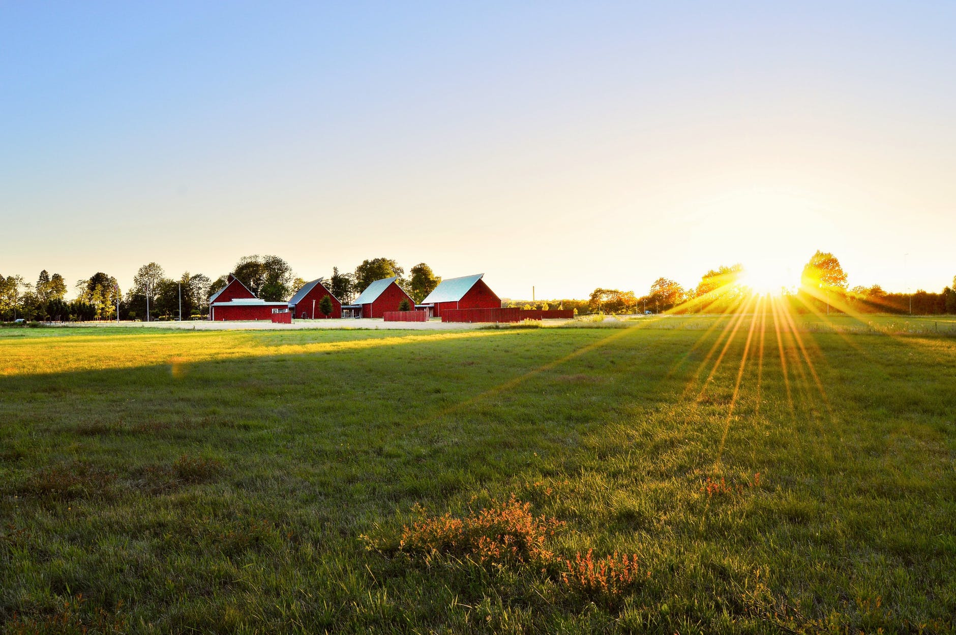 green grass field near houses